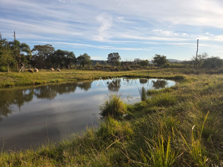 Sítio à venda em barra-do-ribeiro — foto 10
