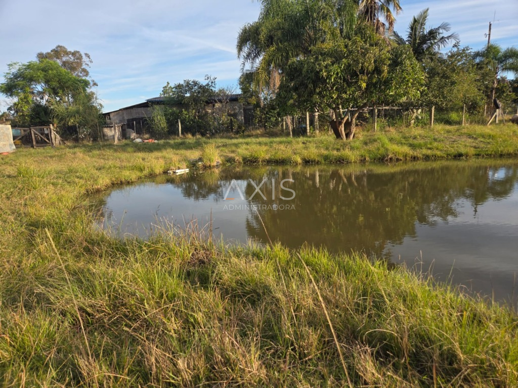 Sítio à venda em barra-do-ribeiro — foto 9