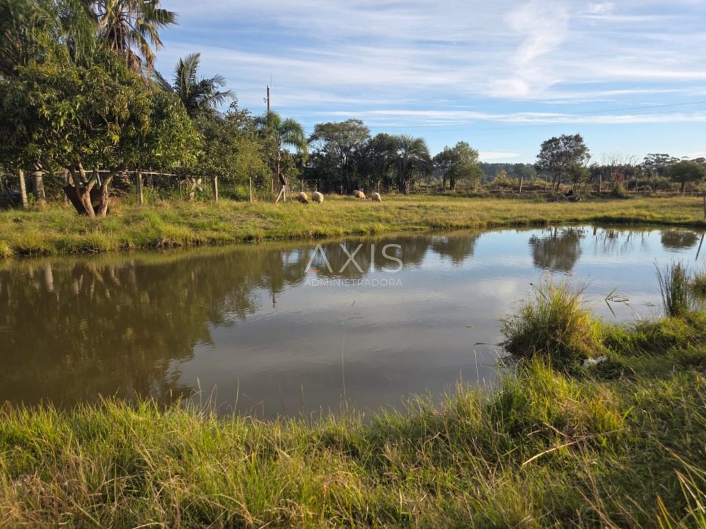 Sítio à venda em barra-do-ribeiro — foto 6