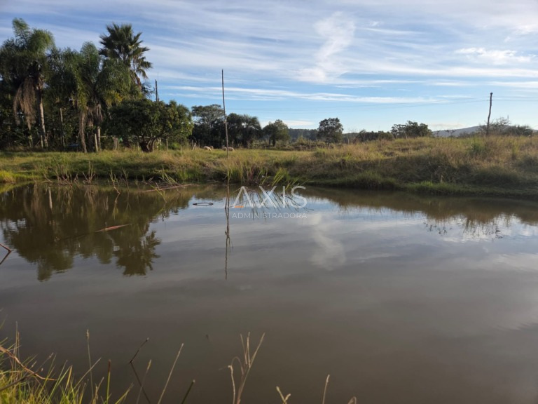 Sítio à venda em barra-do-ribeiro — foto 5