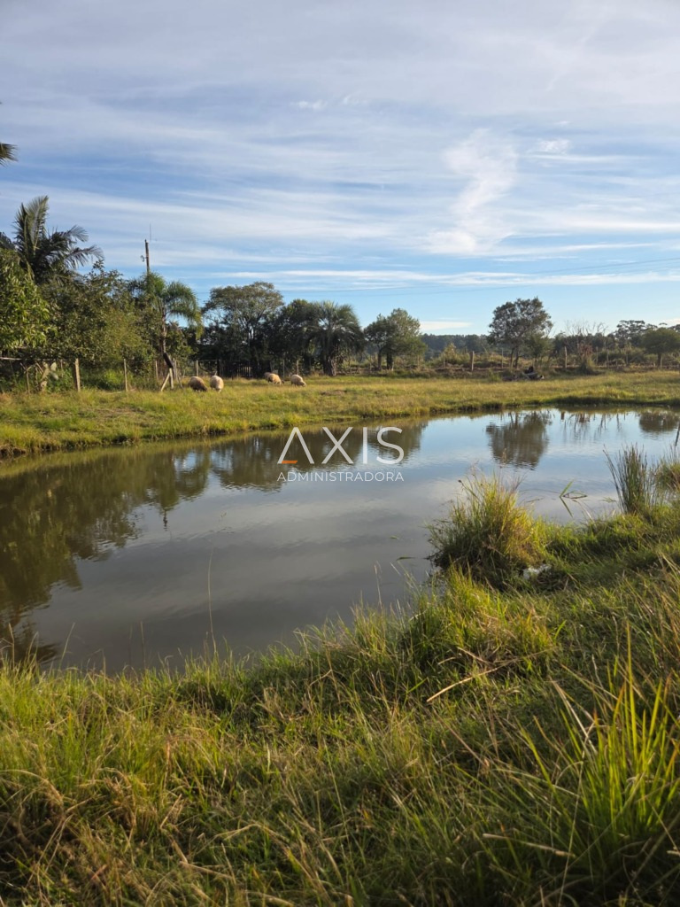Sítio à venda em barra-do-ribeiro — foto 4
