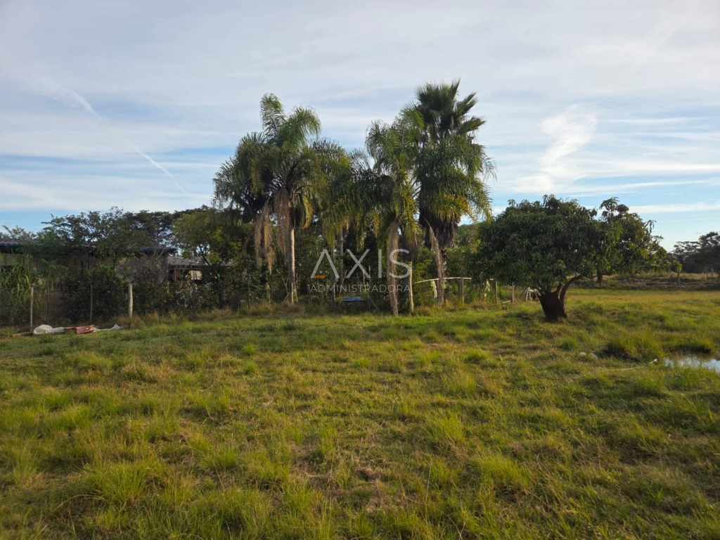 Sítio à venda em barra-do-ribeiro — foto 16