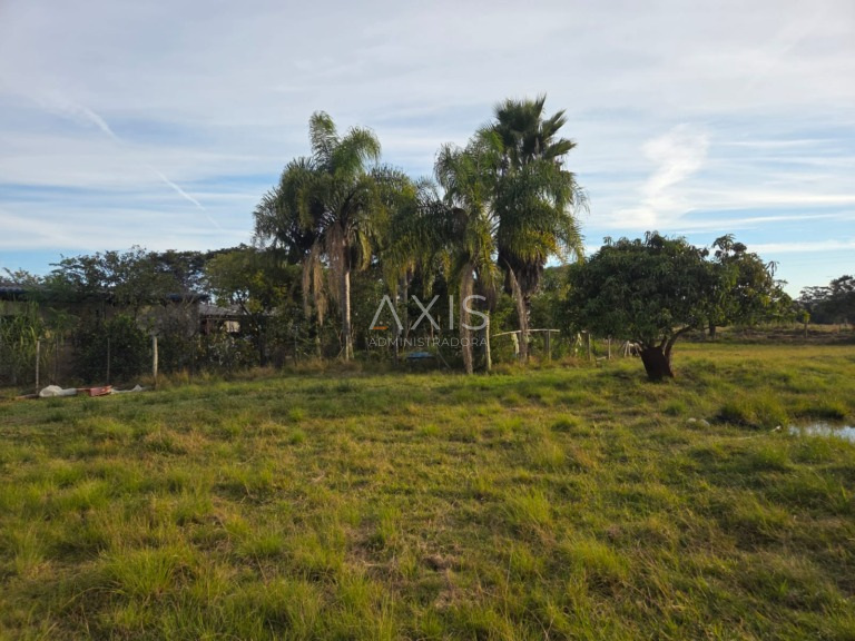 Sítio à venda em barra-do-ribeiro — foto 16