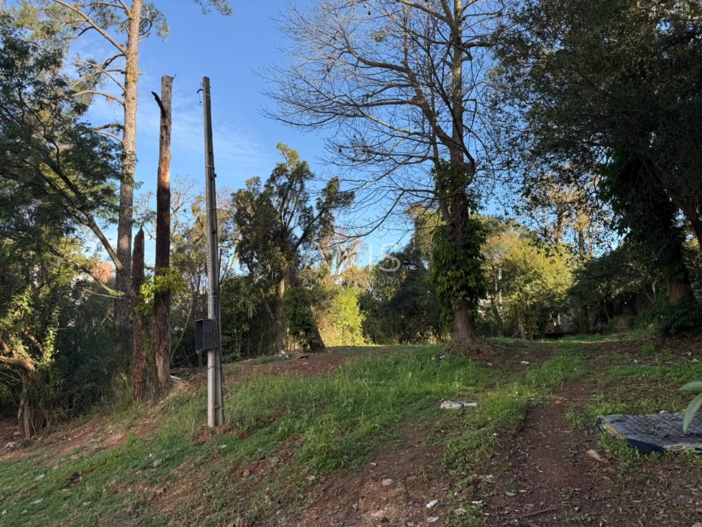 Terreno à venda em Centro, Gravataí — foto 9