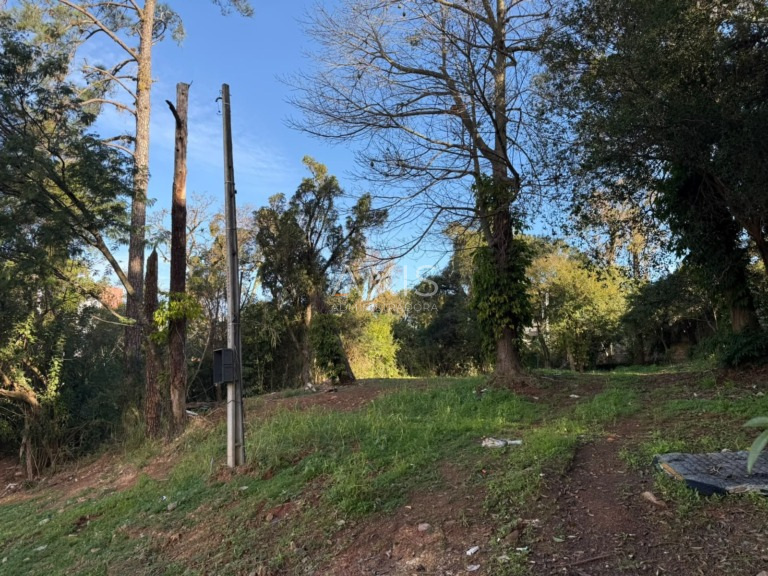 Terreno à venda em Centro, Gravataí — foto 9